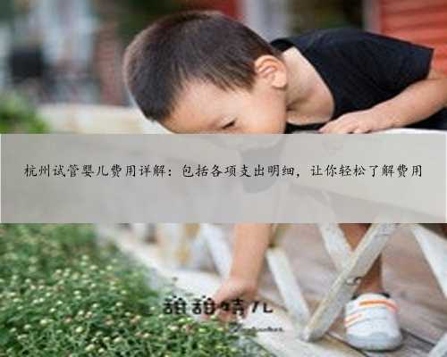 杭州试管婴儿费用详解：包括各项支出明细，让你轻松了解费用