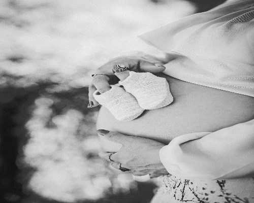 《红楼梦》整本书阅读专练及各地模拟汇总（四）